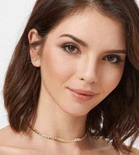 Sleek Charm Single Layer Choker